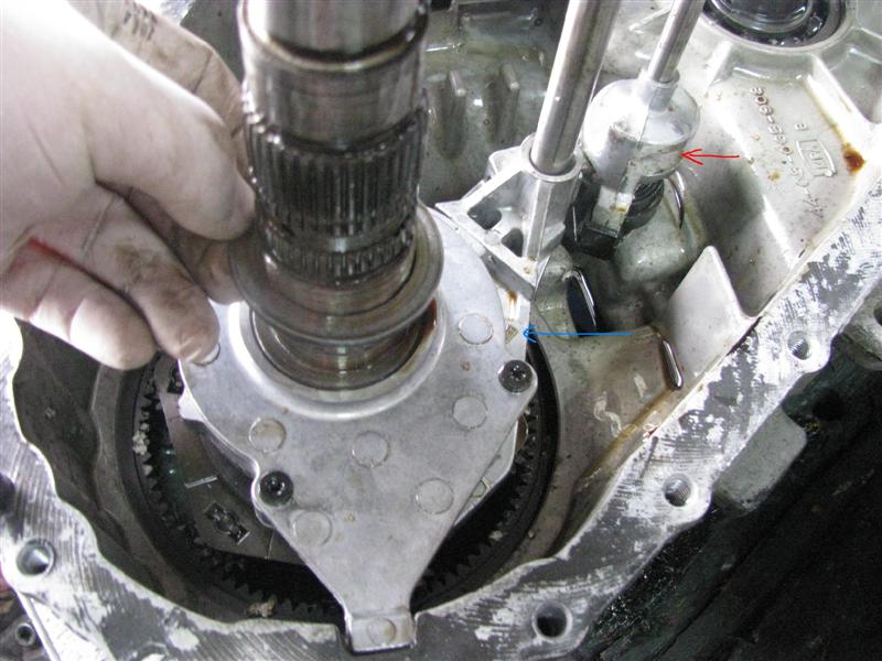 zdjęcia różne 095 (Medium).jpg