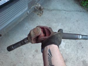 lewa strona wyjęta.jpg