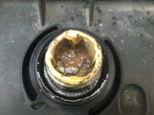 2012-01-18 13.08.24.jpg