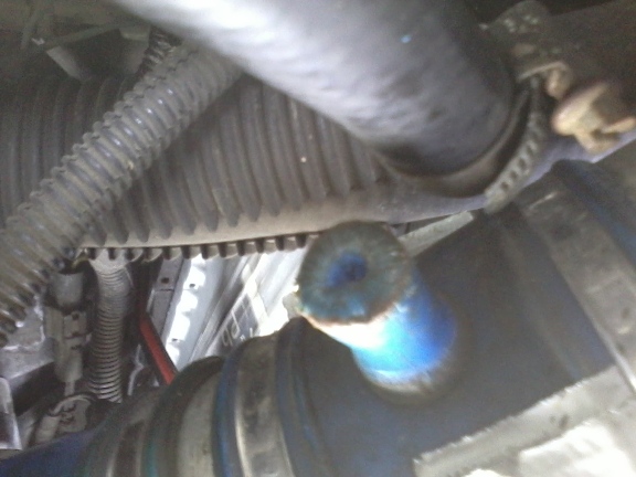 2012-02-10 10.14.10.jpg