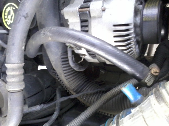 2012-02-10 10.14.01.jpg