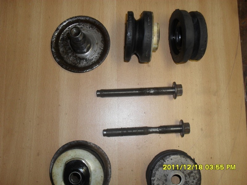 dzieciaki na paki 2011 055.jpg