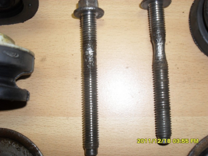 dzieciaki na paki 2011 054.jpg