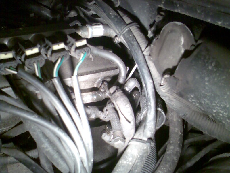 dlaczego takie mokre.jpg