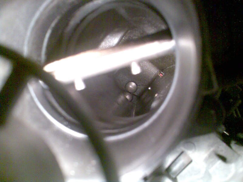 płyn w kolektorze.jpg