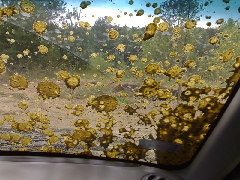 tu ex łyknoł wody źródlanej.jpg