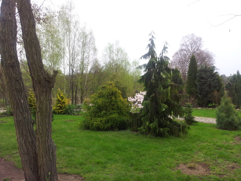 1_11_zmien rozmiary.jpg