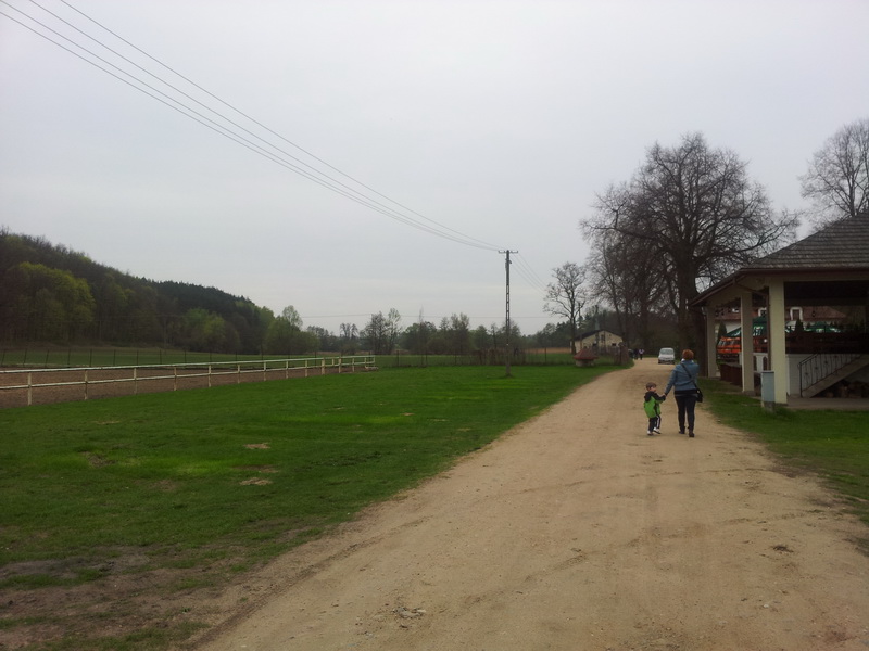 1_23_zmien rozmiary.jpg