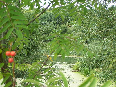 100_4681_zmien rozmiary.JPG