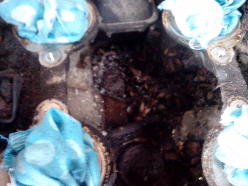 IMG_20140218_102042 (Kopiowanie).jpg