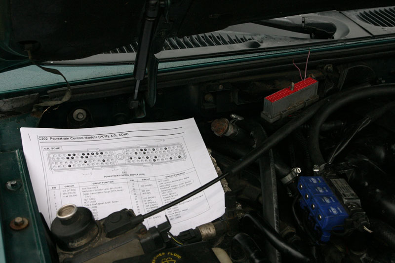 IMG_9165_gniazdo pcm.JPG