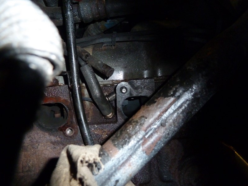 P1080379 (Kopiowanie).JPG