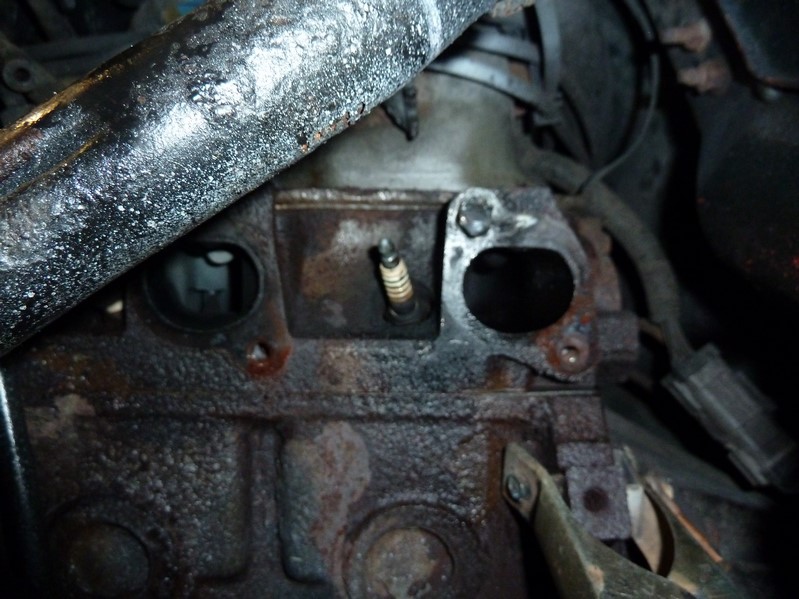 P1080378 (Kopiowanie).JPG