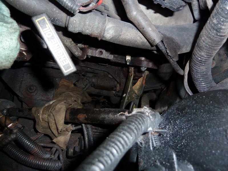 P1080377 (Kopiowanie).JPG