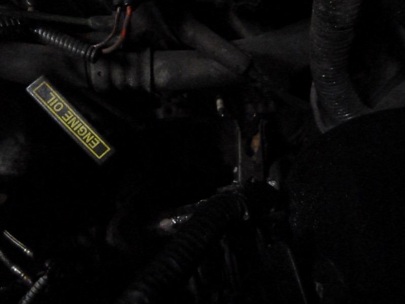 P1080376 (Kopiowanie).JPG