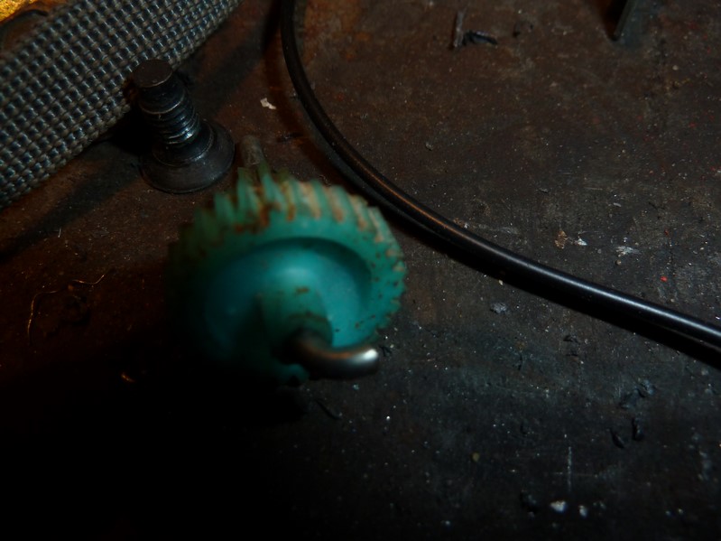 P1080472 (Kopiowanie).JPG