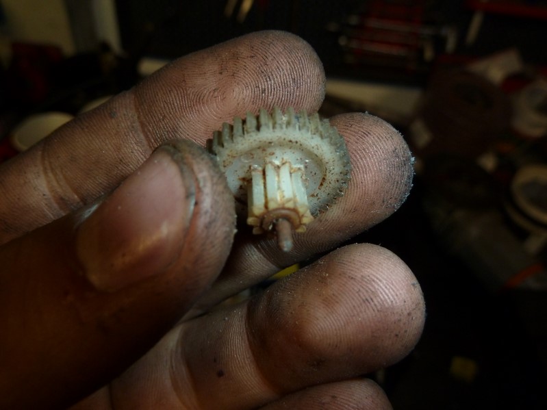 P1080465 (Kopiowanie).JPG