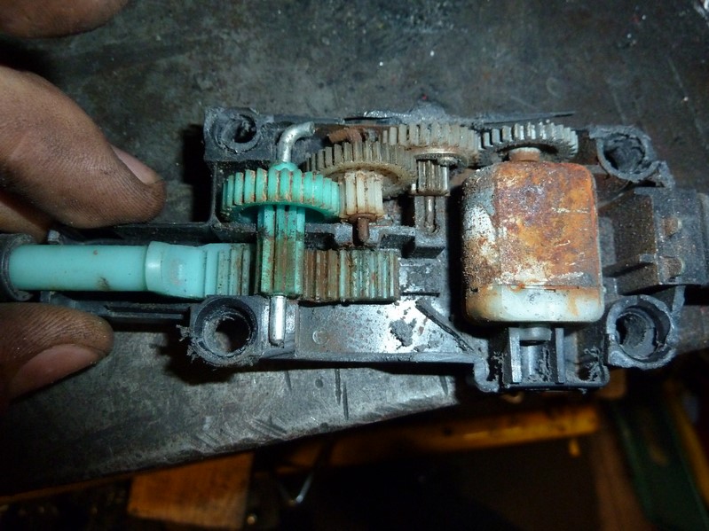 P1080463 (Kopiowanie).JPG