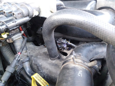 20170901_183310.jpg (539.19 KiB) Przejrzano 14528 razy 20170901_183310.jpg