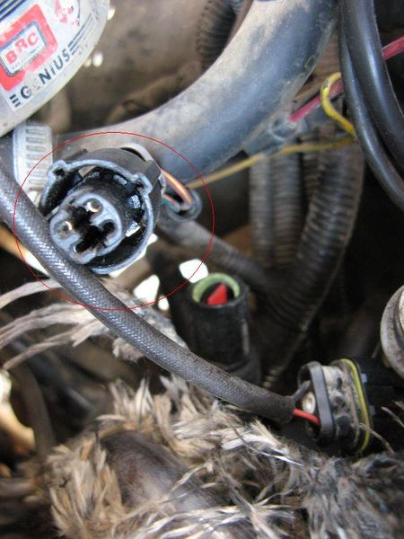 kopia z IMG_4885.JPG