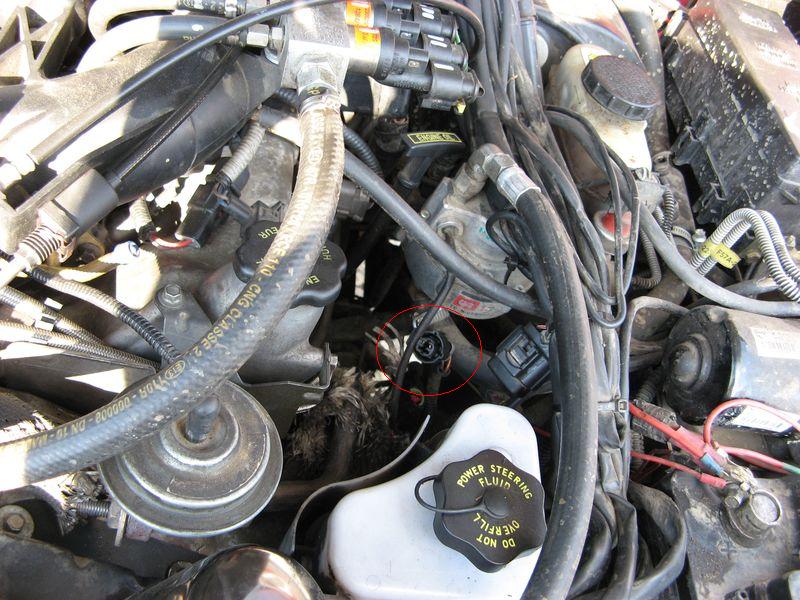 kopia z IMG_4884.JPG