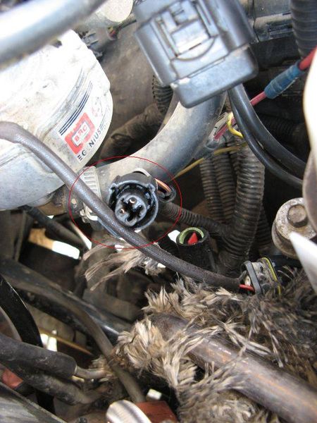 kopia z IMG_4883.JPG