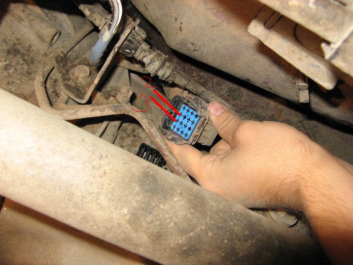 kopia z IMG_1601.JPG