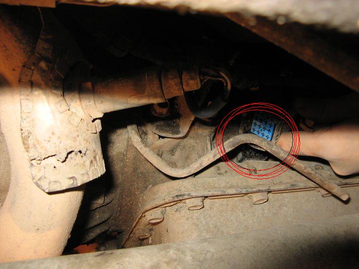 kopia z IMG_1595.JPG