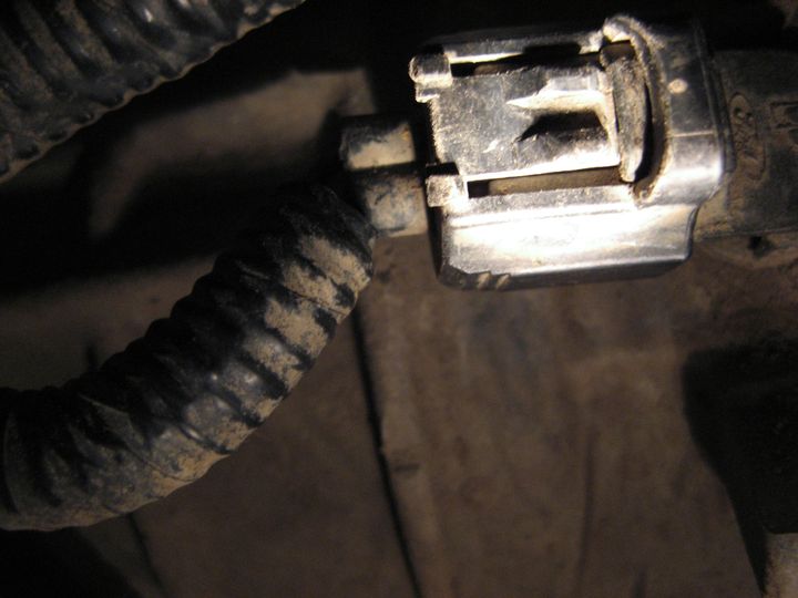 kopia z IMG_1592.JPG