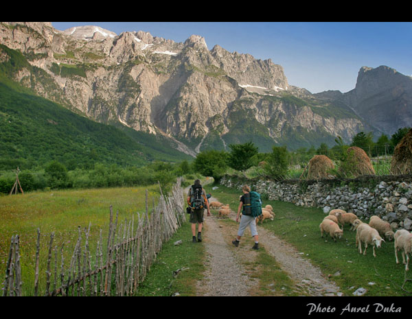 bulgaria,rumunia,albania (5).jpg