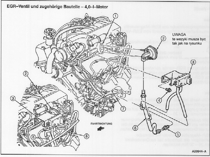 egr.jpg