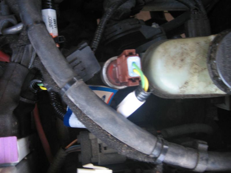 lutmarzkwie 2010 058 [%P].jpg